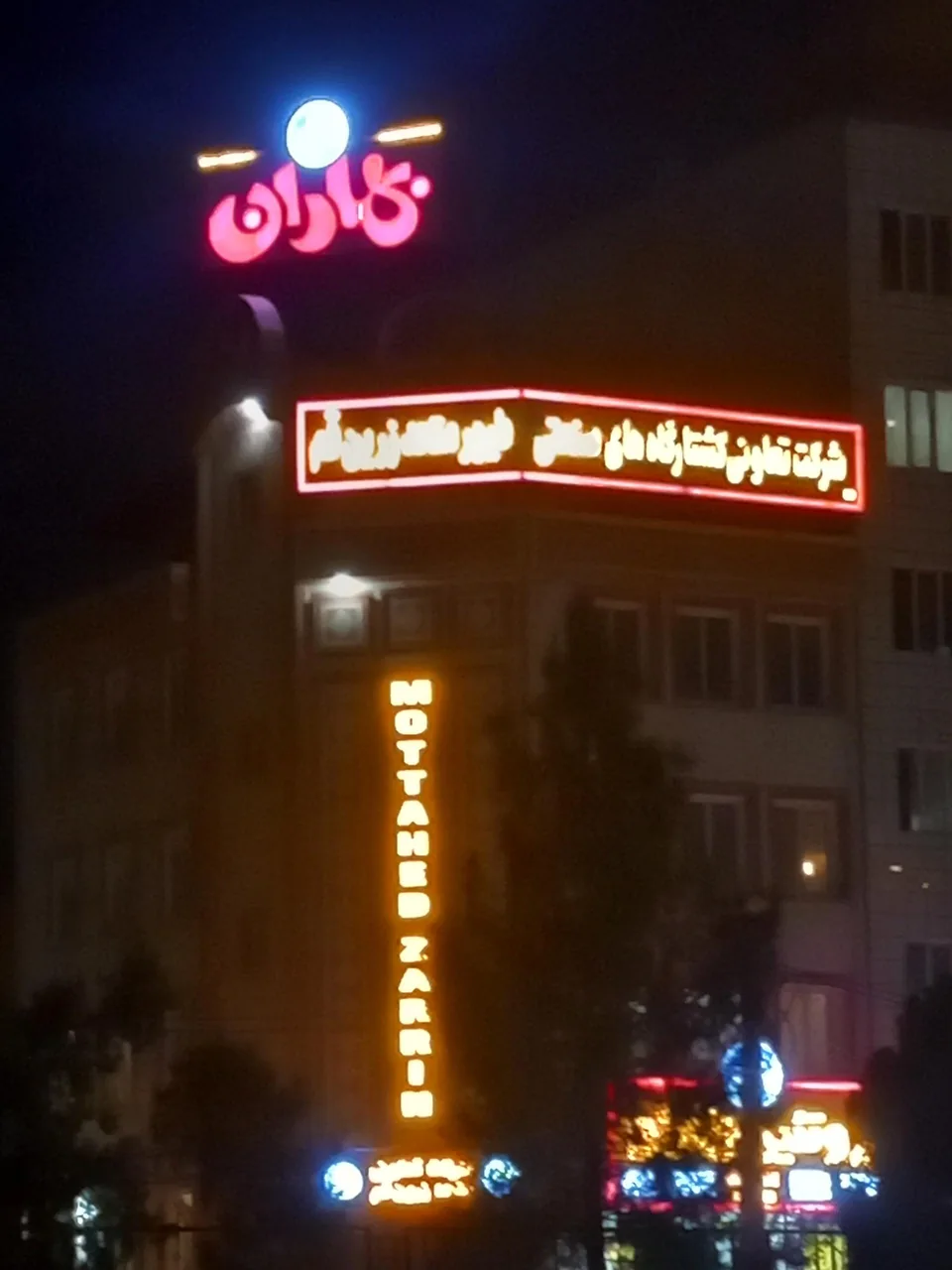 پروتئین بهاران (شعبه مرکزی) - تصویر 4
