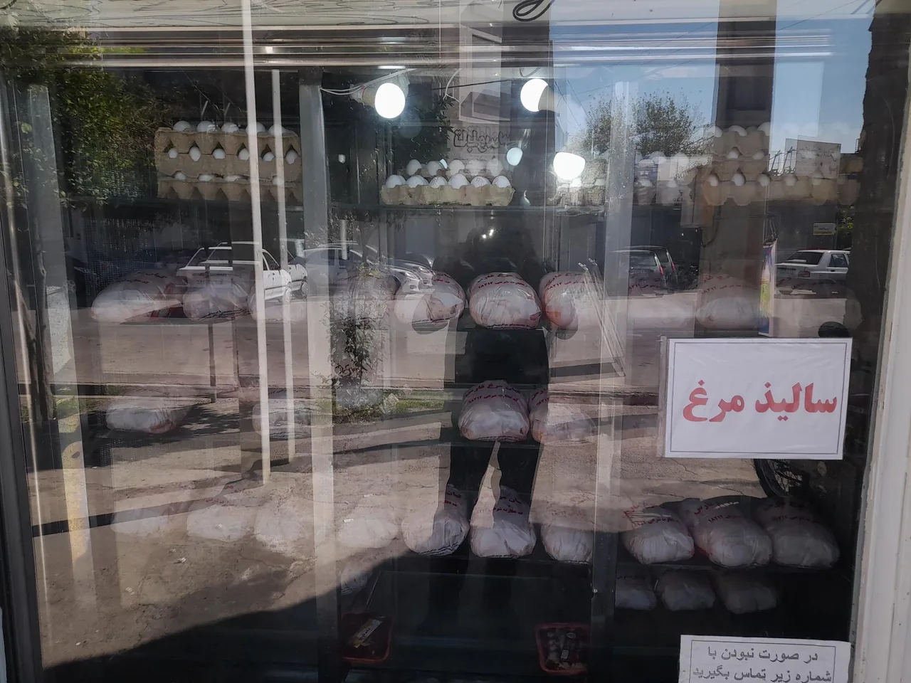مرغ و ماهی شهروند - تصویر 2