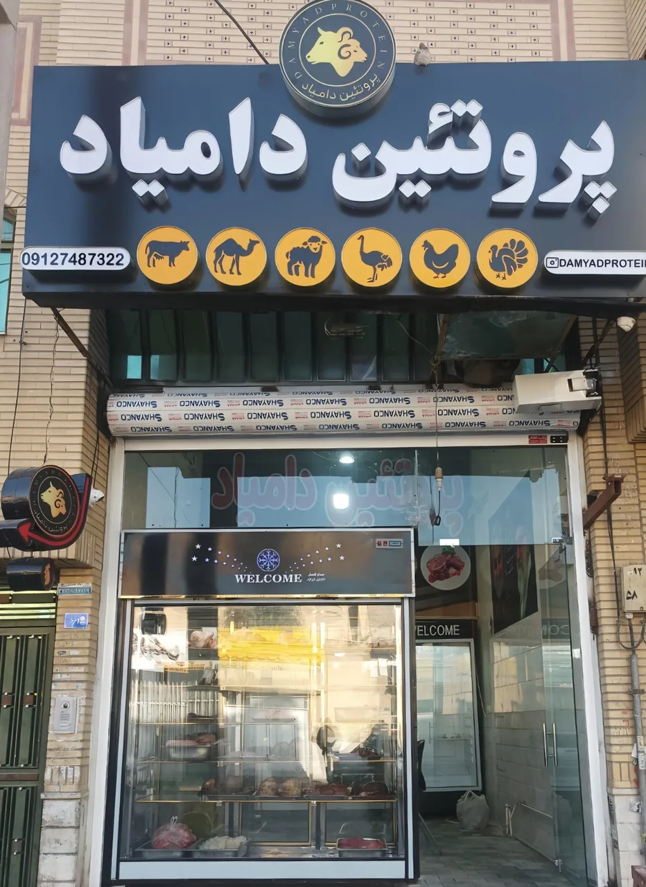 پروتئین دامیاد