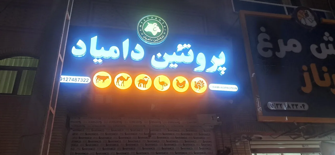 پروتئین دامیاد - تصویر 2