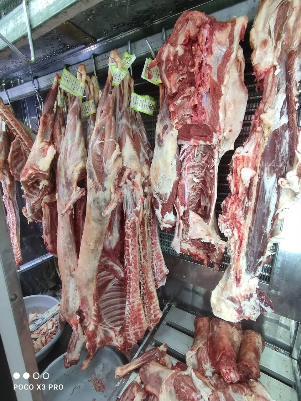 هایپر پروتئین گوشت پاک - تصویر 2
