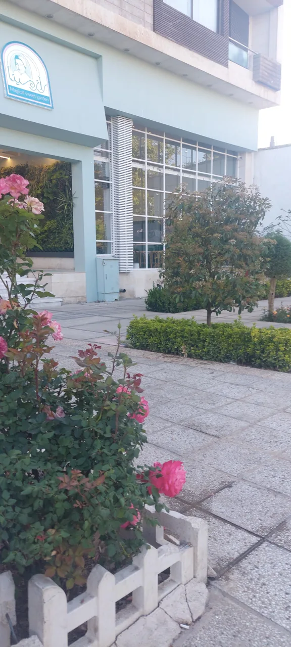 کافه راز مینا - تصویر 2