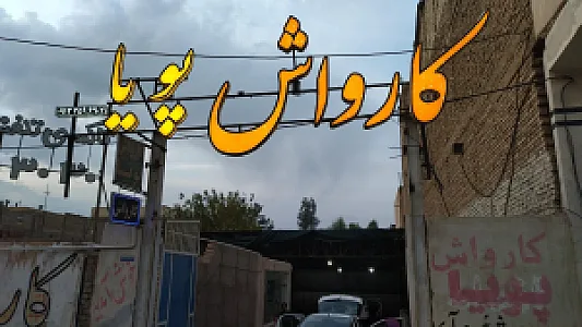 ایران کارواش
