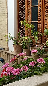 کافه شمعدونی
