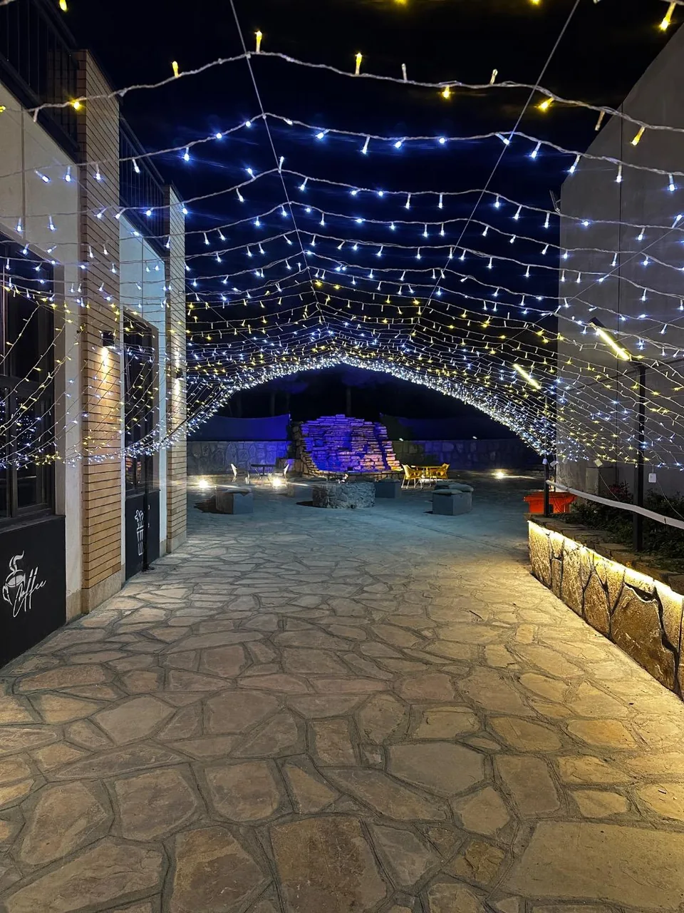 کافه ژین - تصویر 4