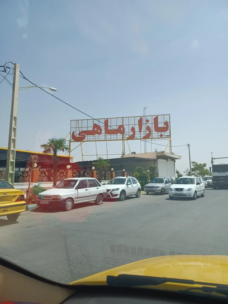 بازار ماهی سیمرغ