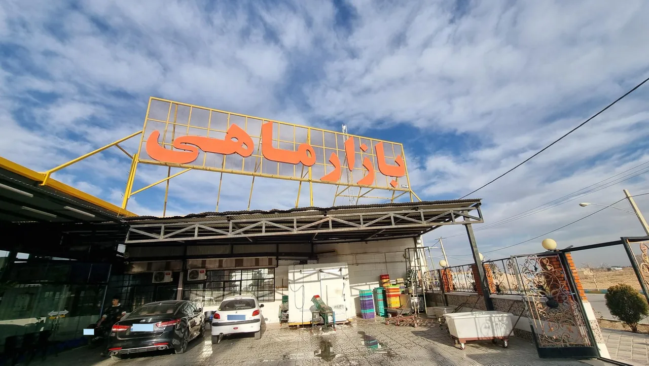 بازار ماهی سیمرغ - تصویر 2