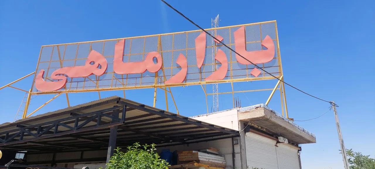 بازار ماهی سیمرغ - تصویر 4