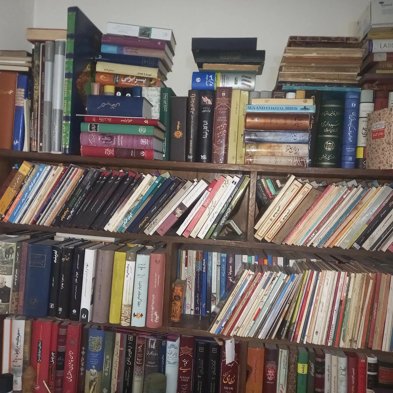 کتاب پویا - تصویر 2