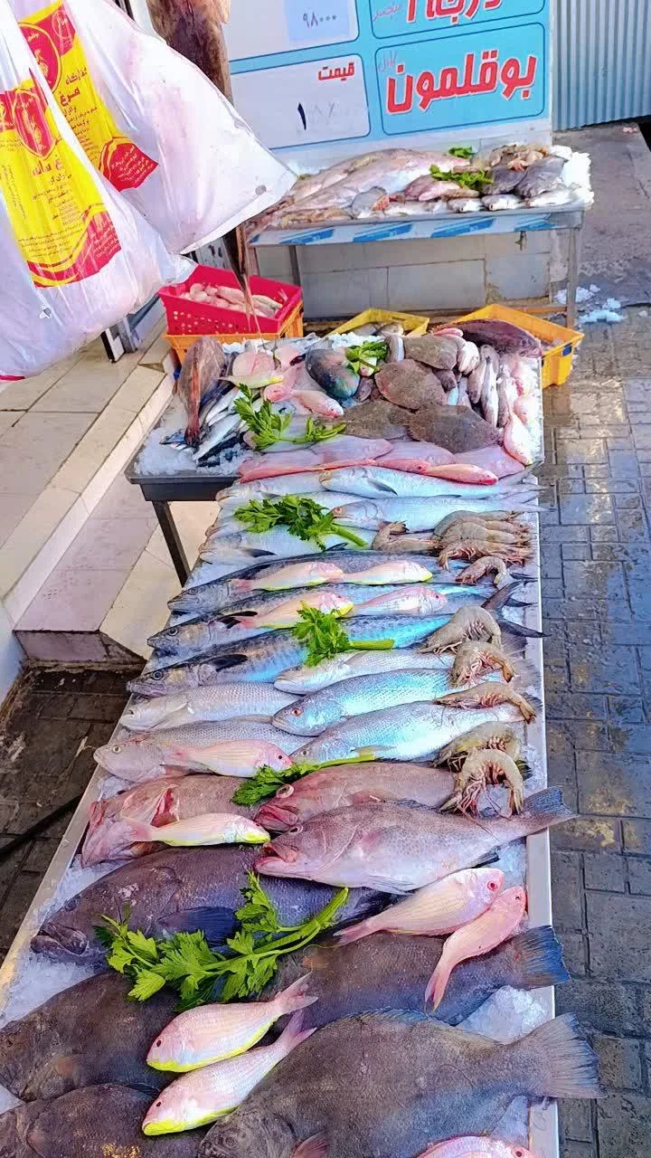 ماهی سرای نیلگون - تصویر 2