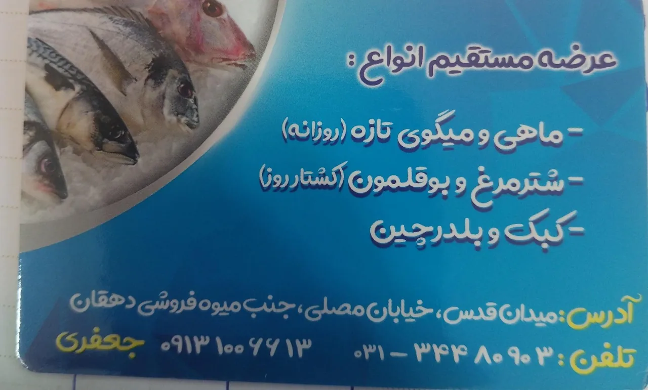 ماهی سرای نیلگون - تصویر 4