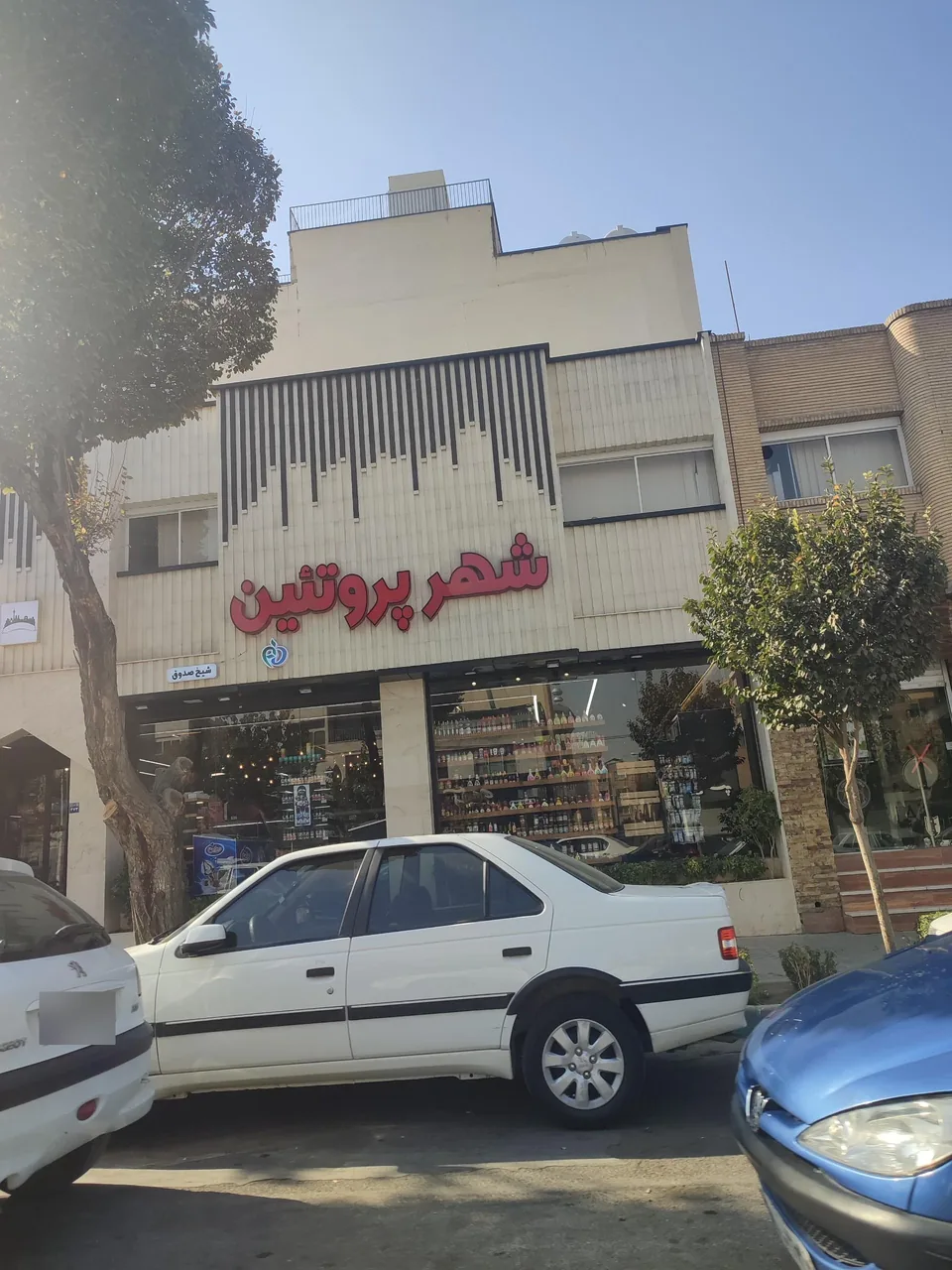 شهر پروتئین - تصویر 2