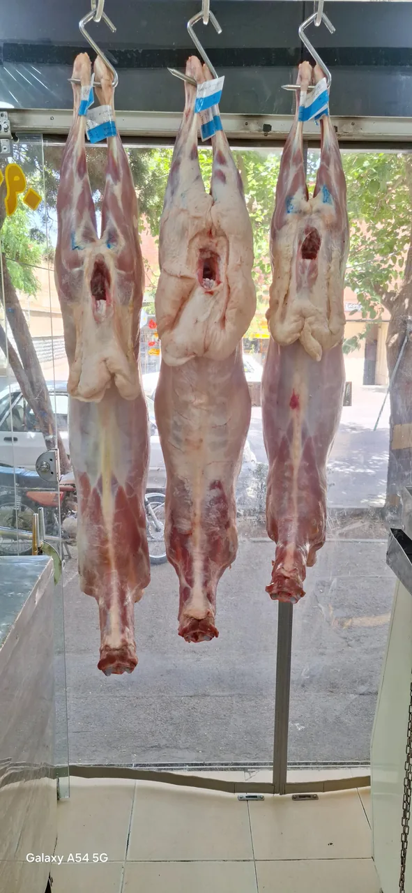 سوپر گوشت مولوی - تصویر 3
