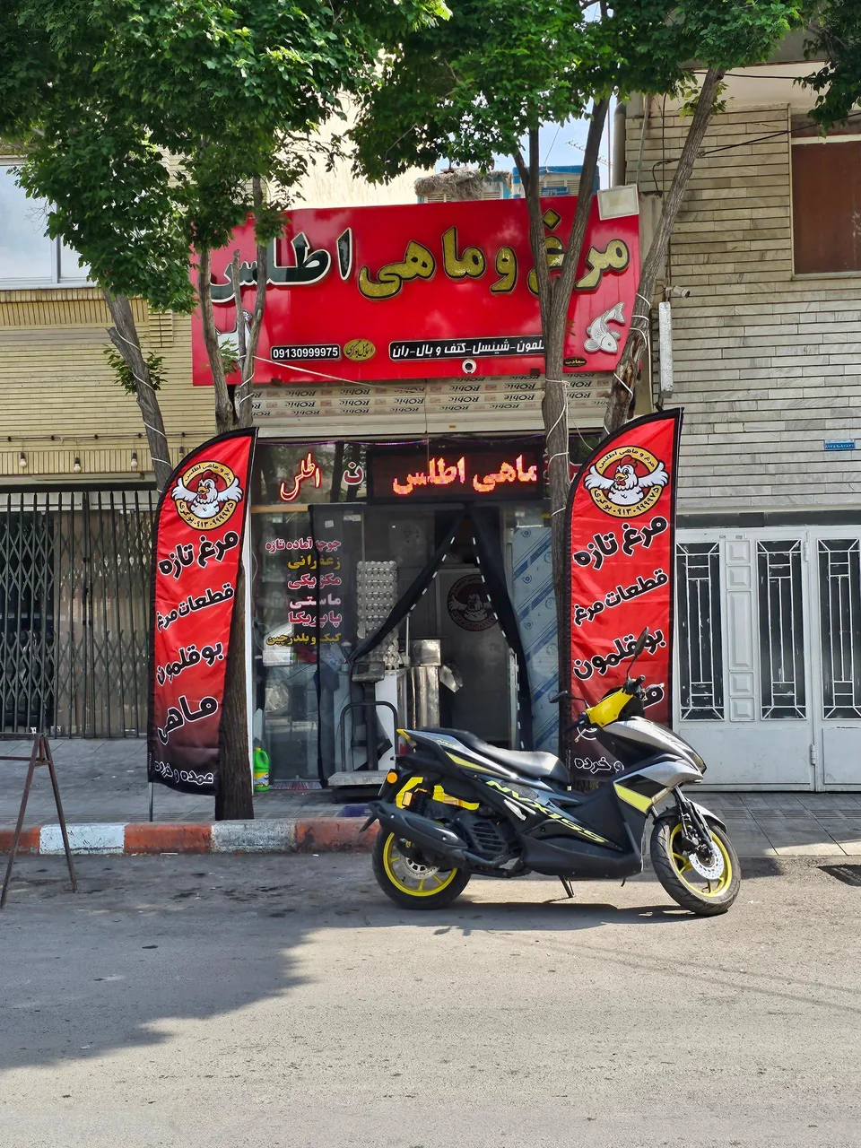 فروشگاه مرغ و ماهی اطلس