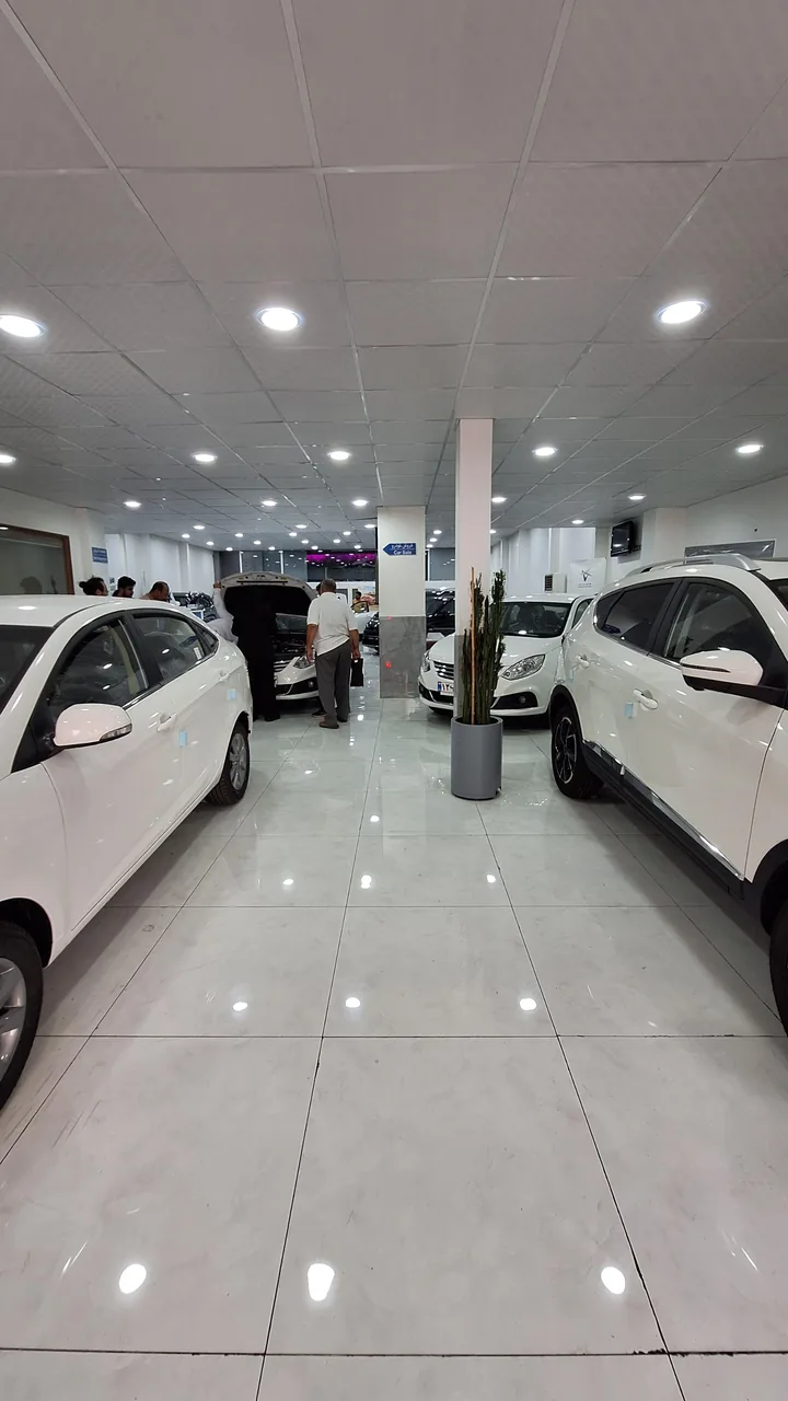 نمایندگی 2606 کرمان موتور حسینی - تصویر 4