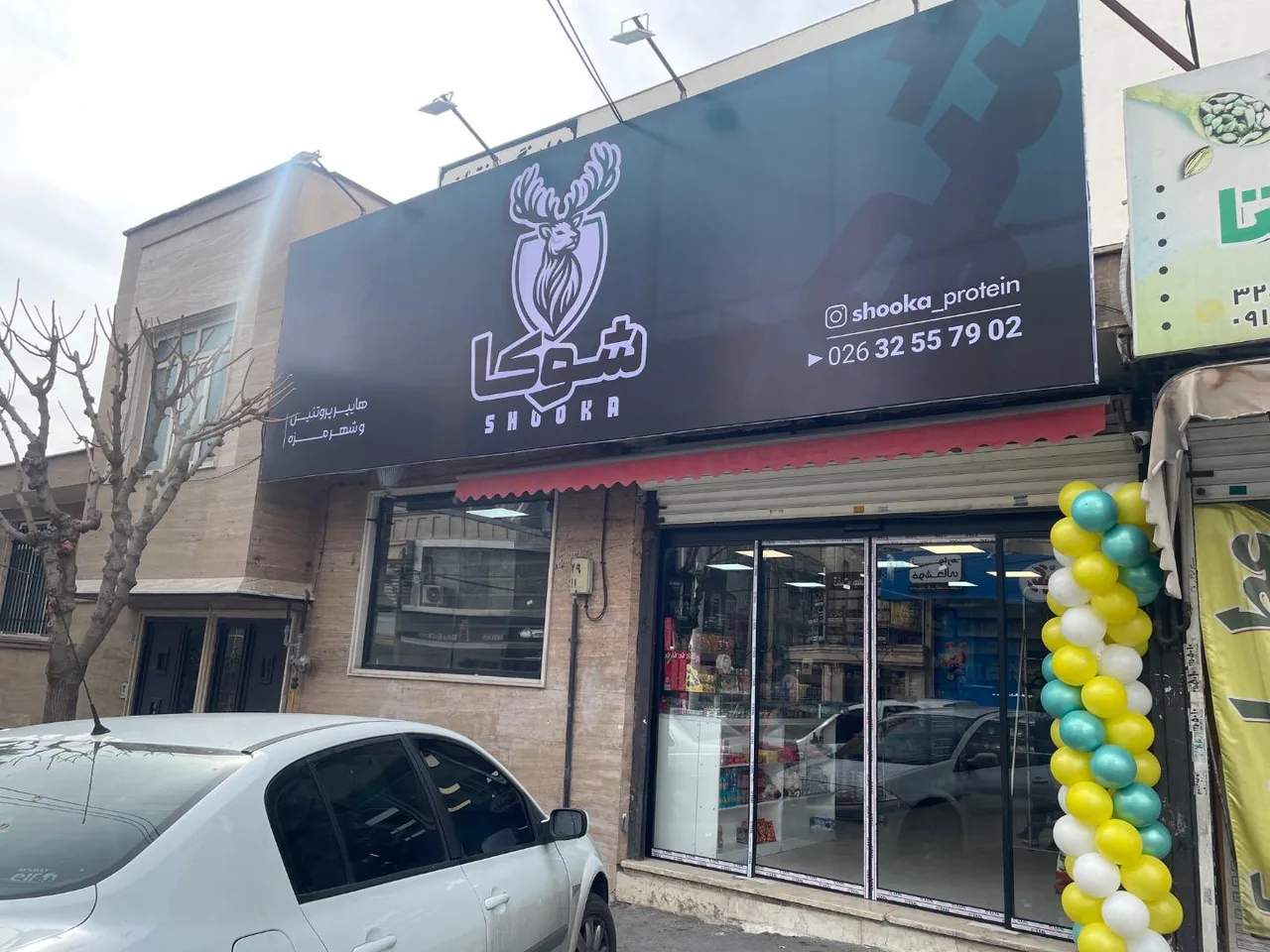 هایپر پروتئینی شوکا