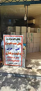 پخش تخم‌مرغ فلامینگو