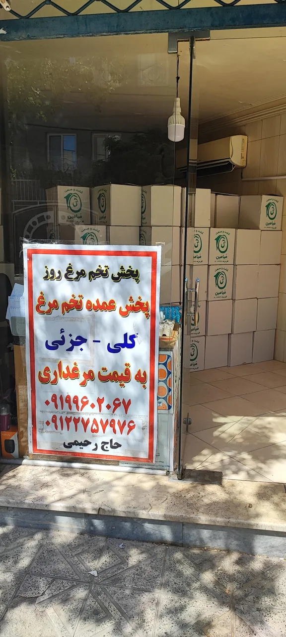 پخش تخم‌مرغ فلامینگو