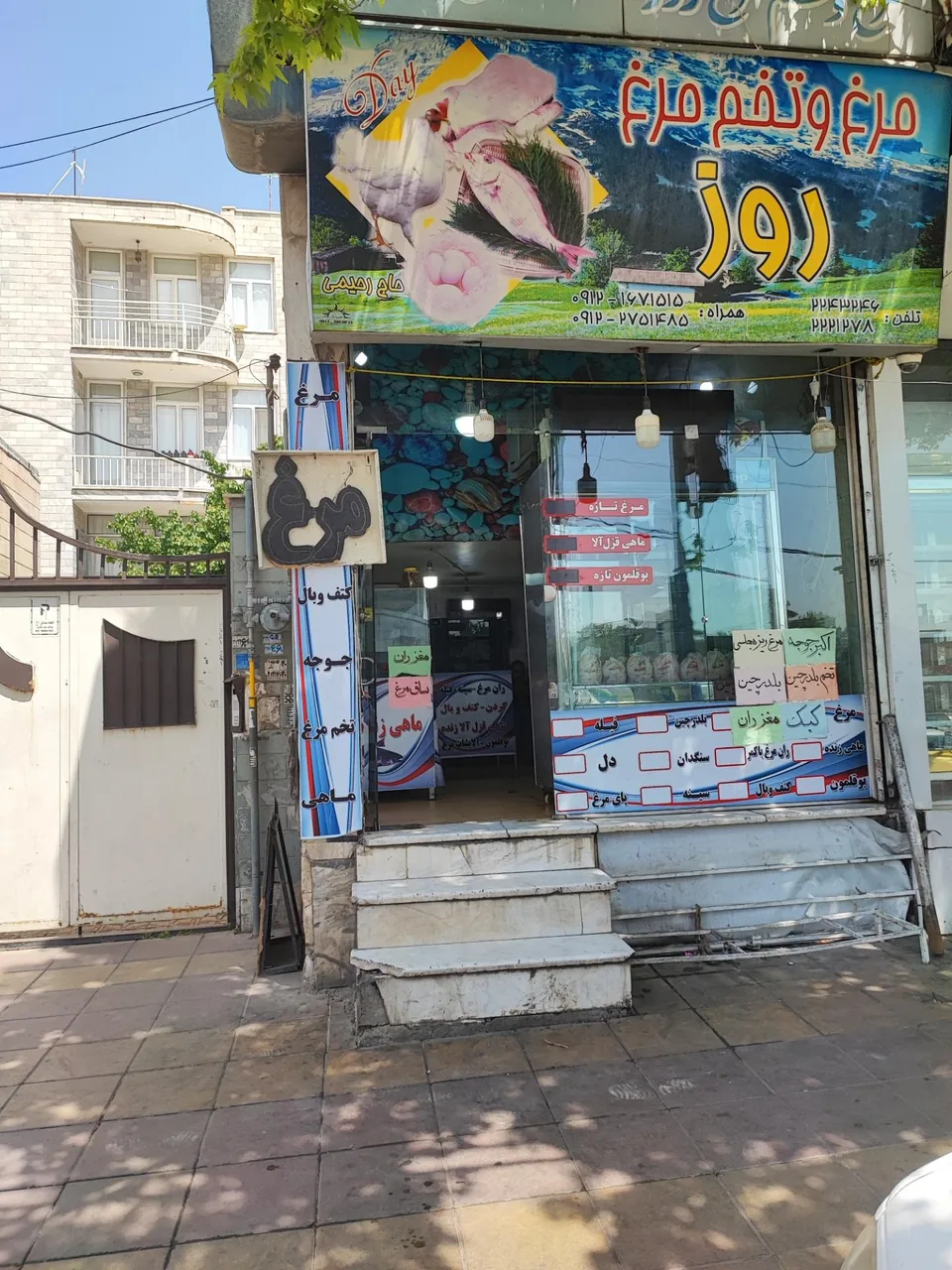پخش تخم‌مرغ فلامینگو - تصویر 2