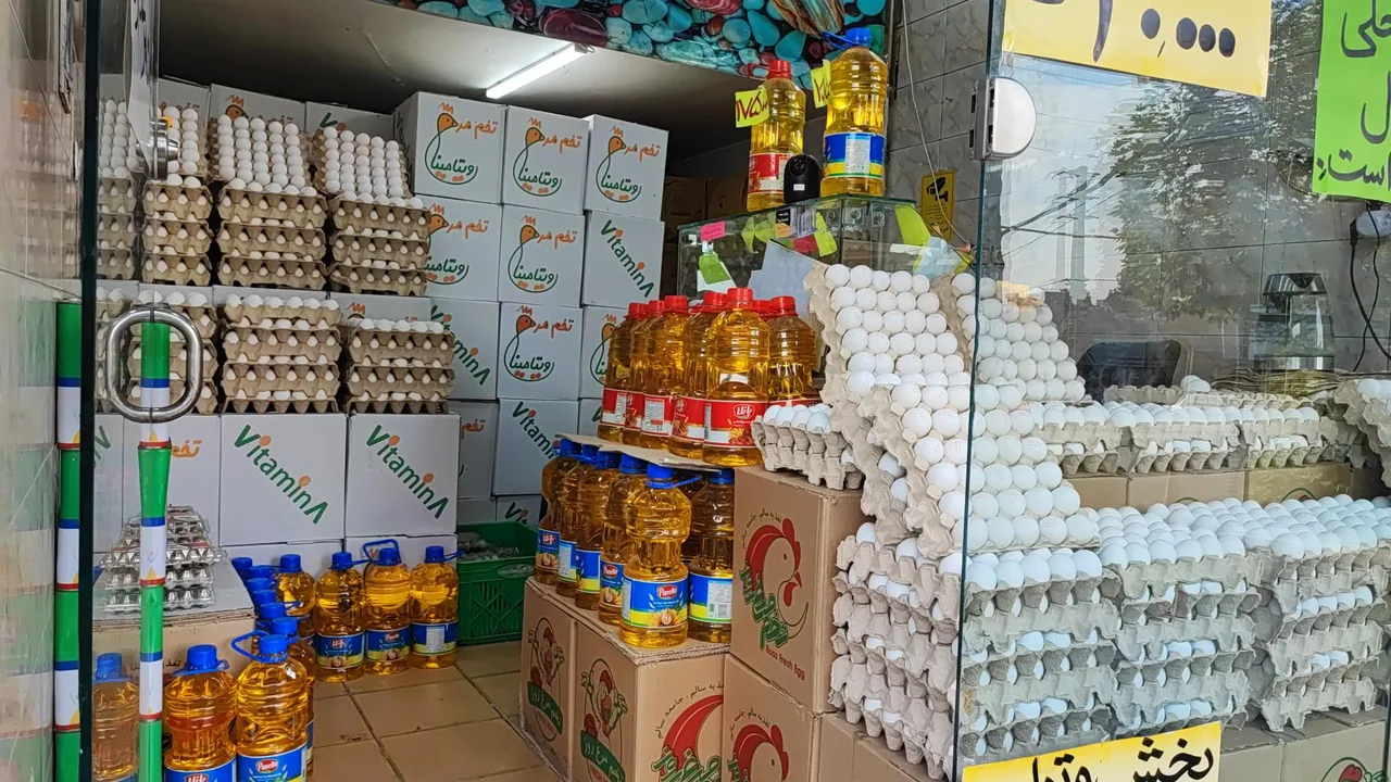 پخش تخم‌مرغ فلامینگو - تصویر 4