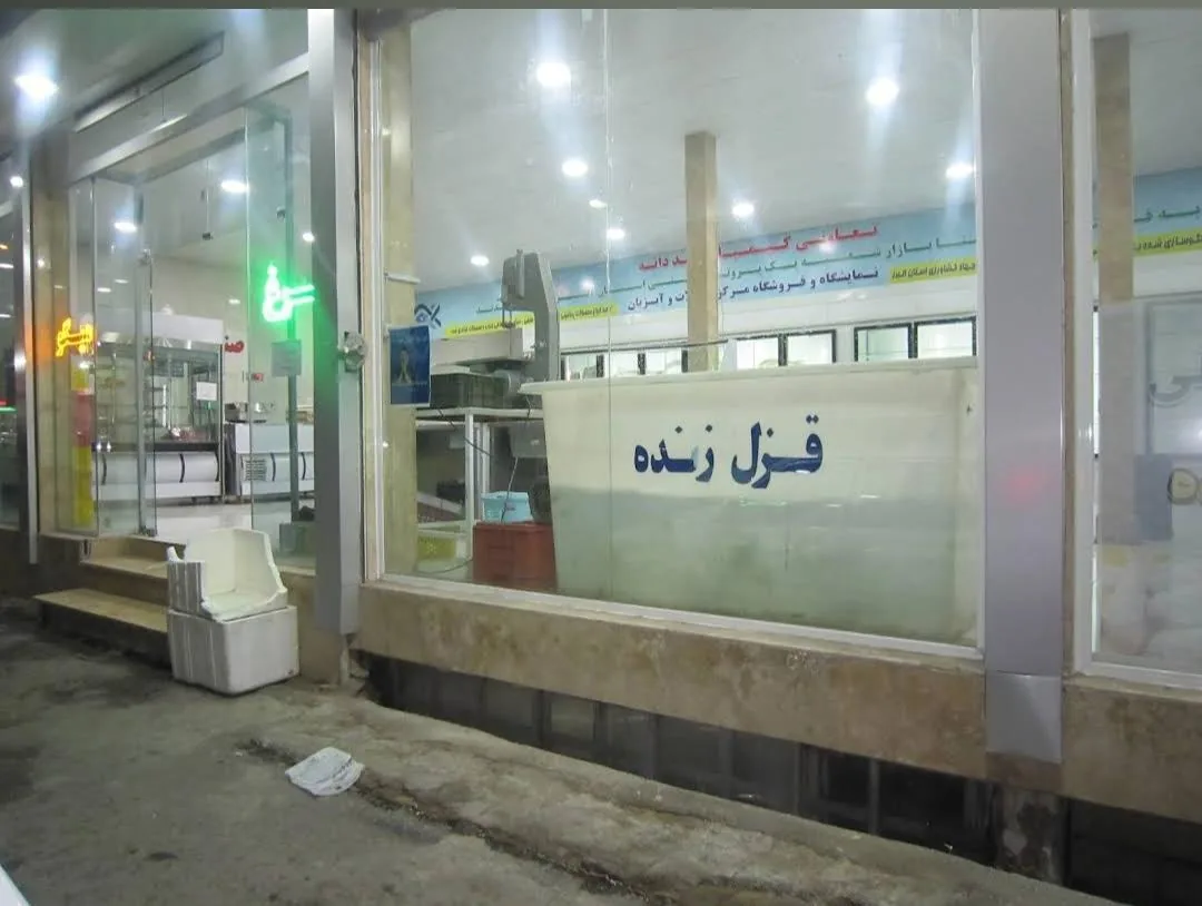 تعاونی کیمیا صیددانه (پروتئینی شیلات) - تصویر 5