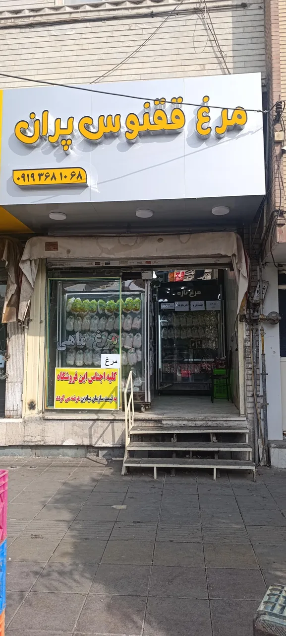 مرغ فروشی ققنوس پران - تصویر 2