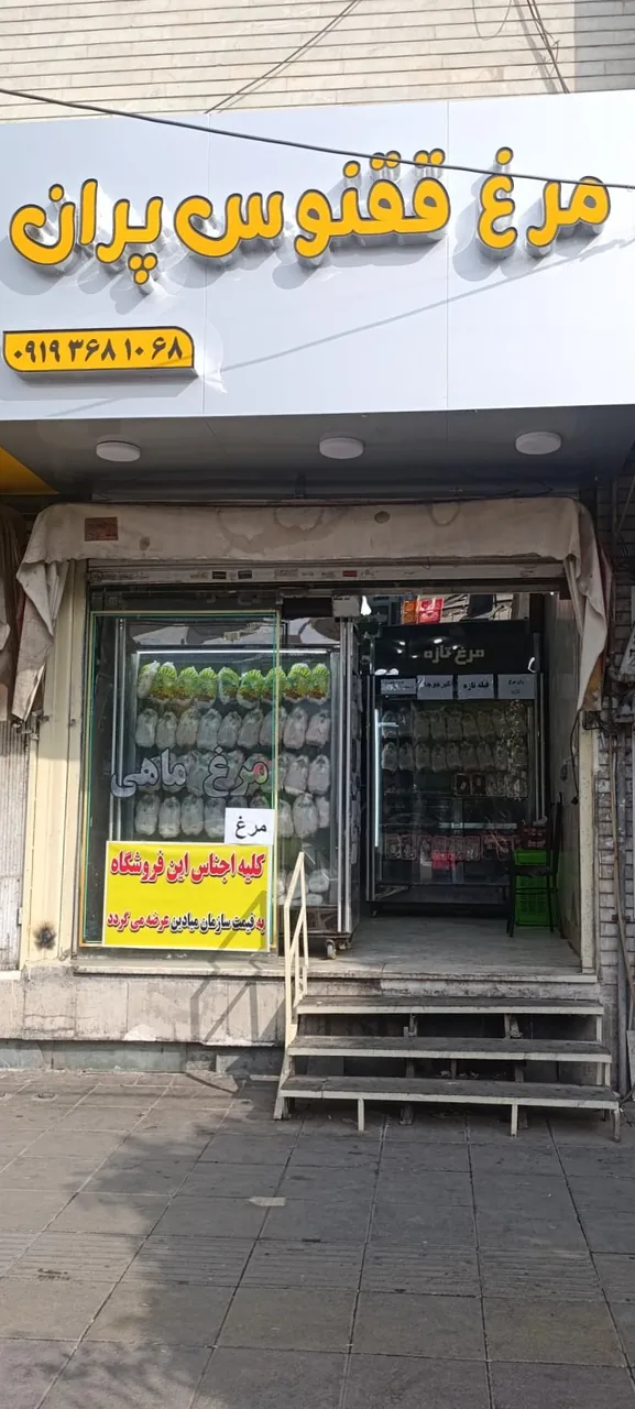 مرغ فروشی ققنوس پران - تصویر 3