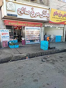 پخش مرغ و ماهی صالح