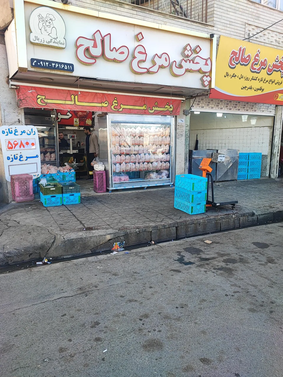 پخش مرغ و ماهی صالح