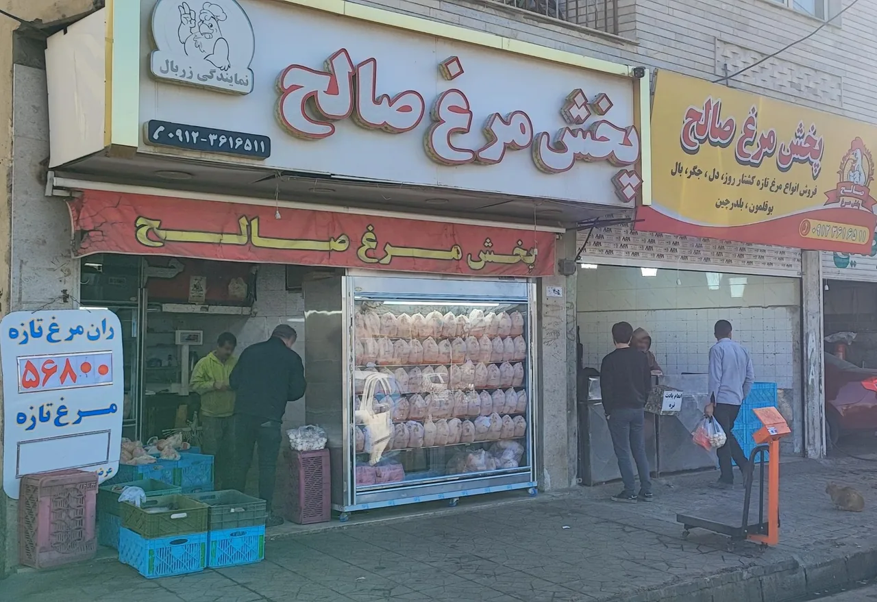 پخش مرغ و ماهی صالح - تصویر 2