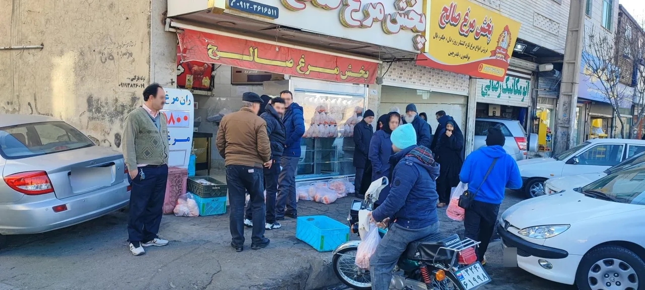 پخش مرغ و ماهی صالح - تصویر 3