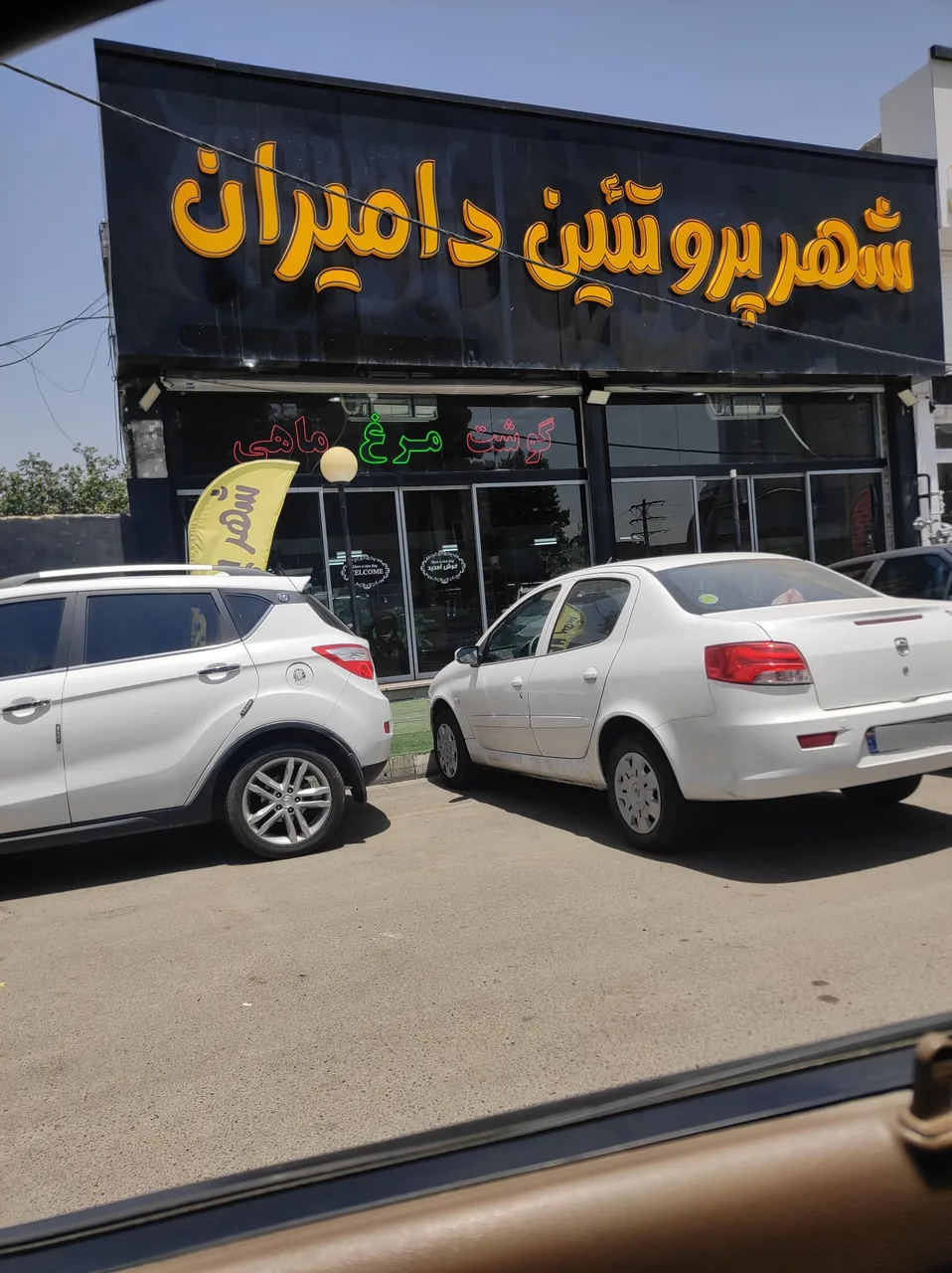 شهر پروتئین دامیران