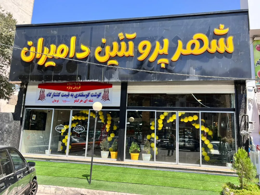 شهر پروتئین دامیران - تصویر 2