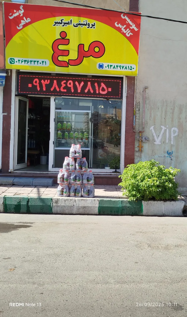 پروتئینی امیر کبیر - تصویر 2
