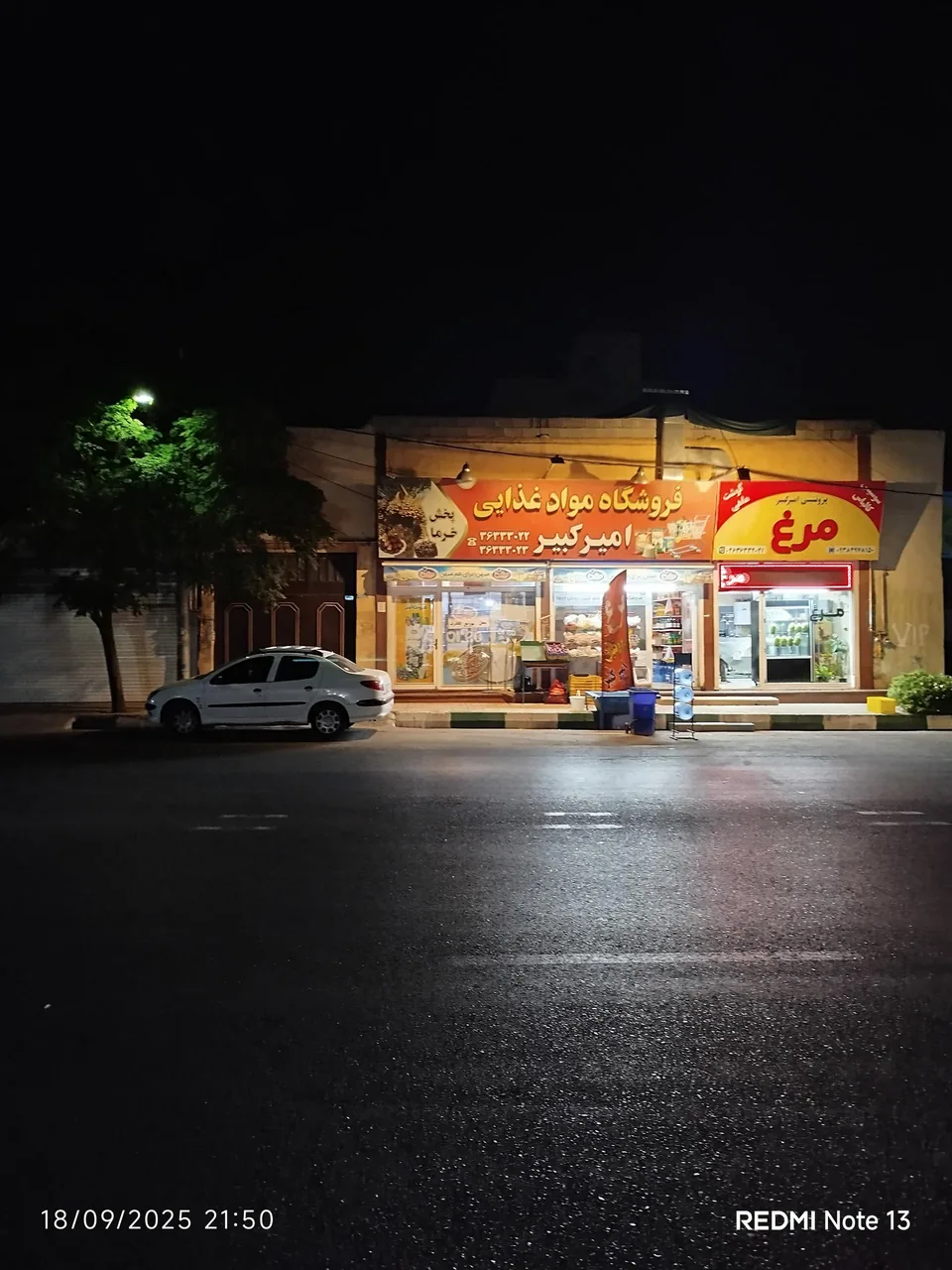 پروتئینی امیر کبیر - تصویر 3