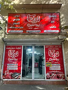 نیکا پروتئین