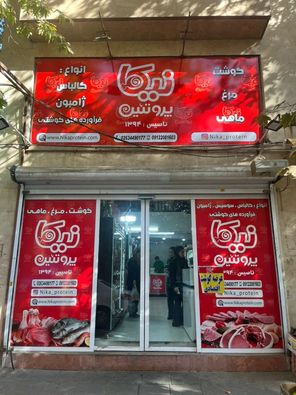 نیکا پروتئین