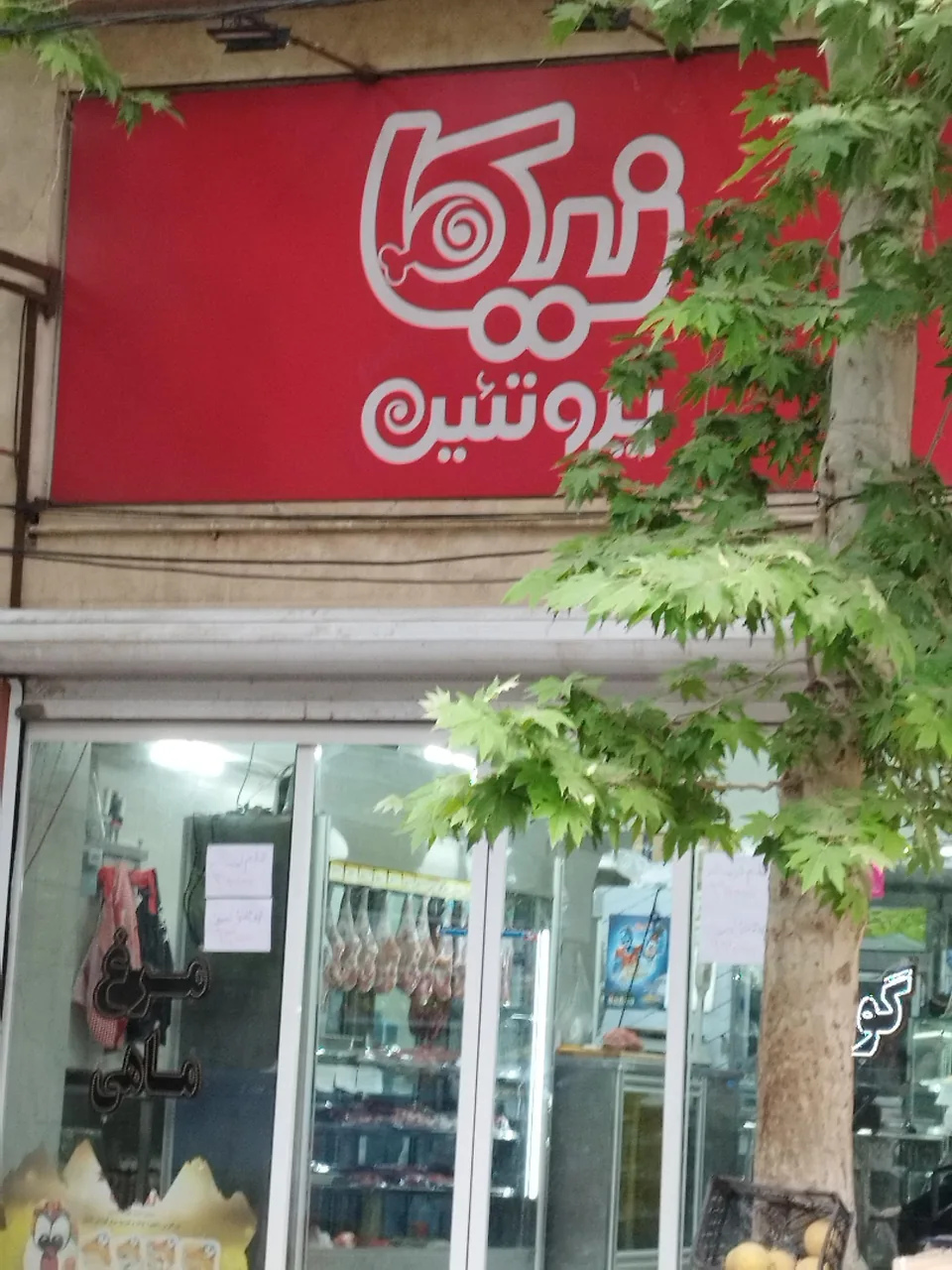 نیکا پروتئین - تصویر 2