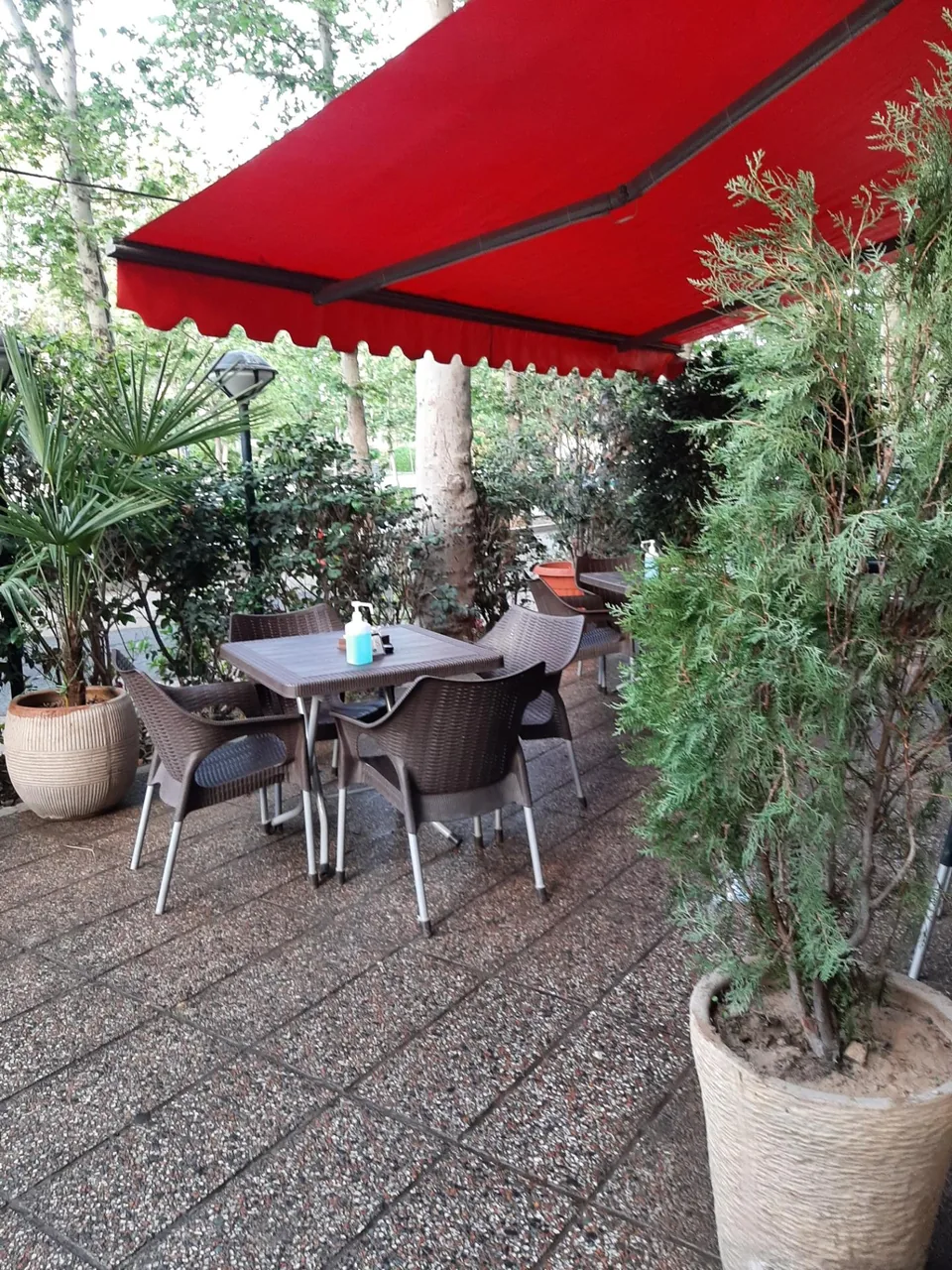کافه گارنیش - تصویر 5
