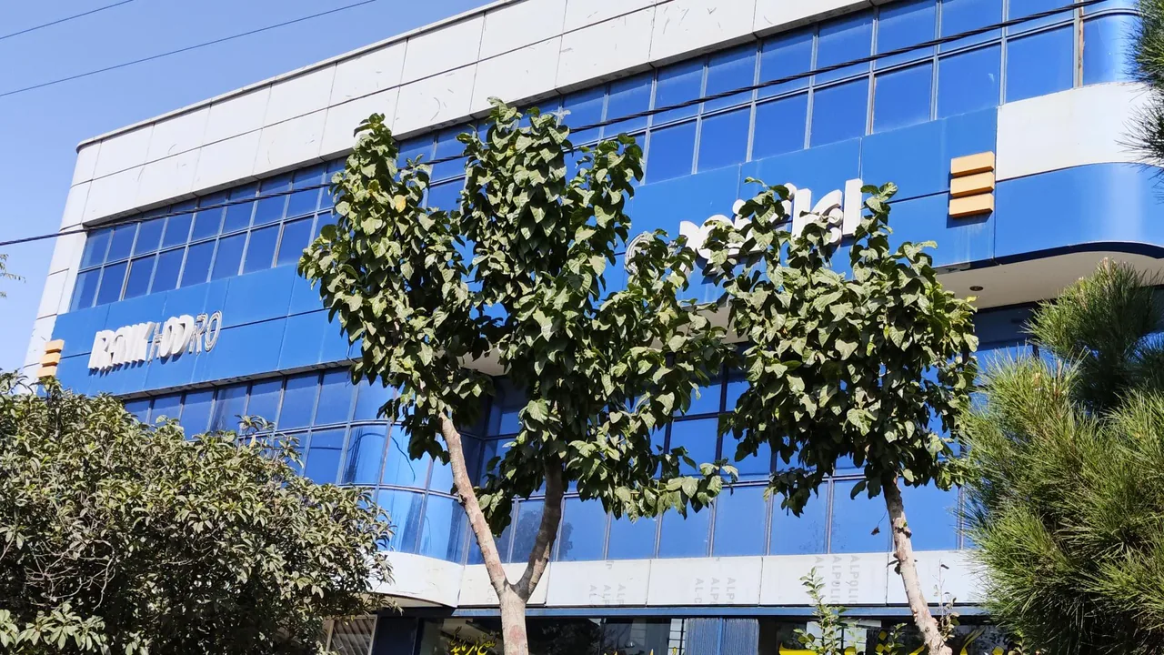 نمایندگی ۲۰۰۸ ایران خودرو ، کاج آبادی - تصویر 5
