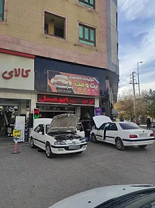 تزئینات اتومبیل پت و مت