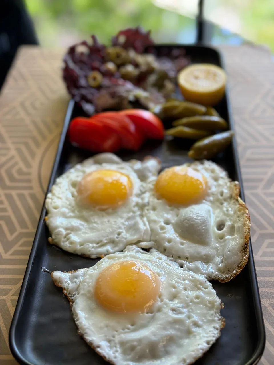 کافه اسکان البرز - تصویر 4