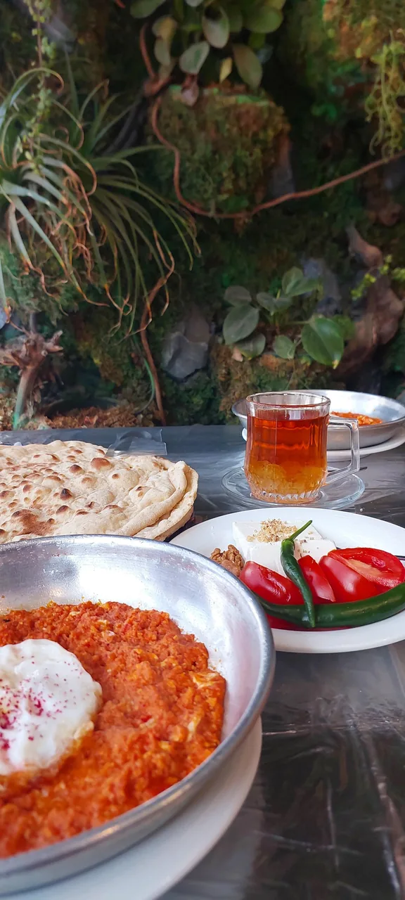غذای سالم هرخونه - تصویر 2