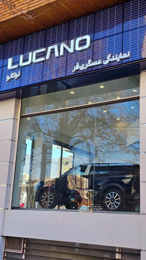 نمایندگی لوکانو و مکث موتور کد 725 - تصویر 4