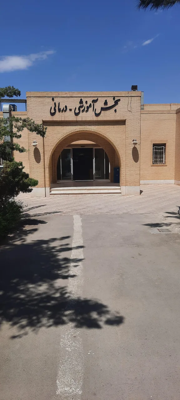 دانشکده دندانپزشکی یزد - تصویر 4