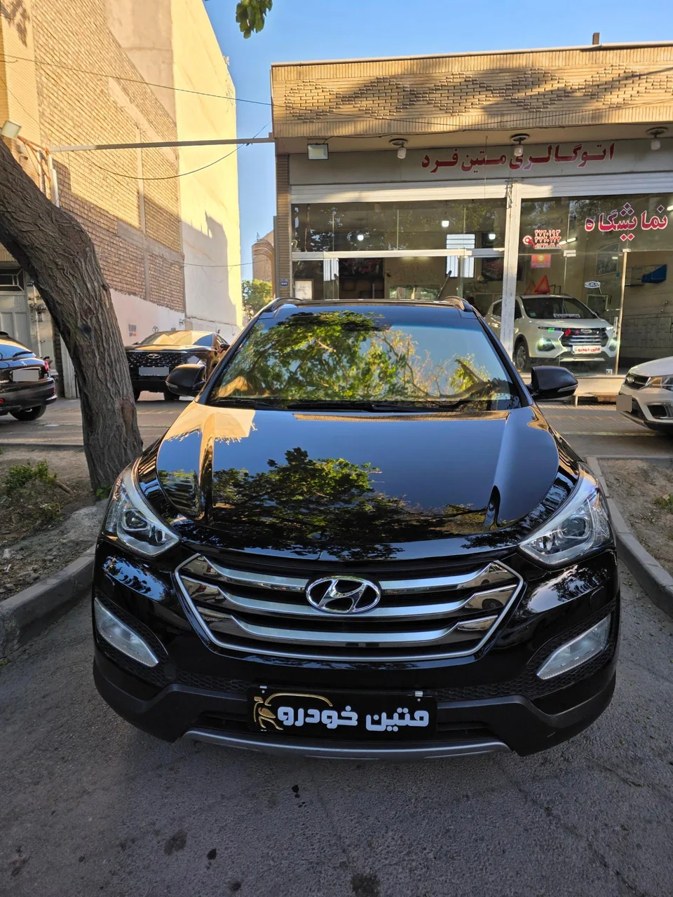 نمایشگاه اتومبیل متین فرد - تصویر 4