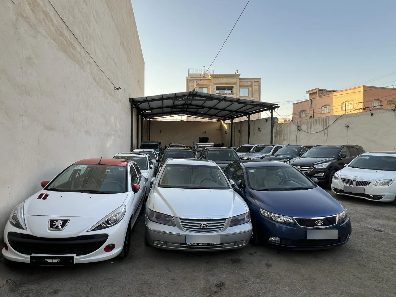 اتو مجتبی شاکریان - تصویر 3