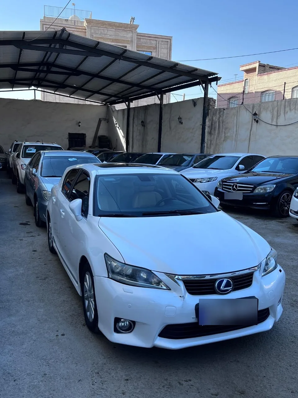 اتو مجتبی شاکریان - تصویر 5