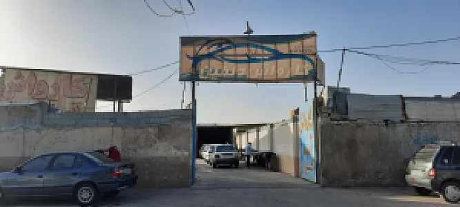 کارواش دلفین