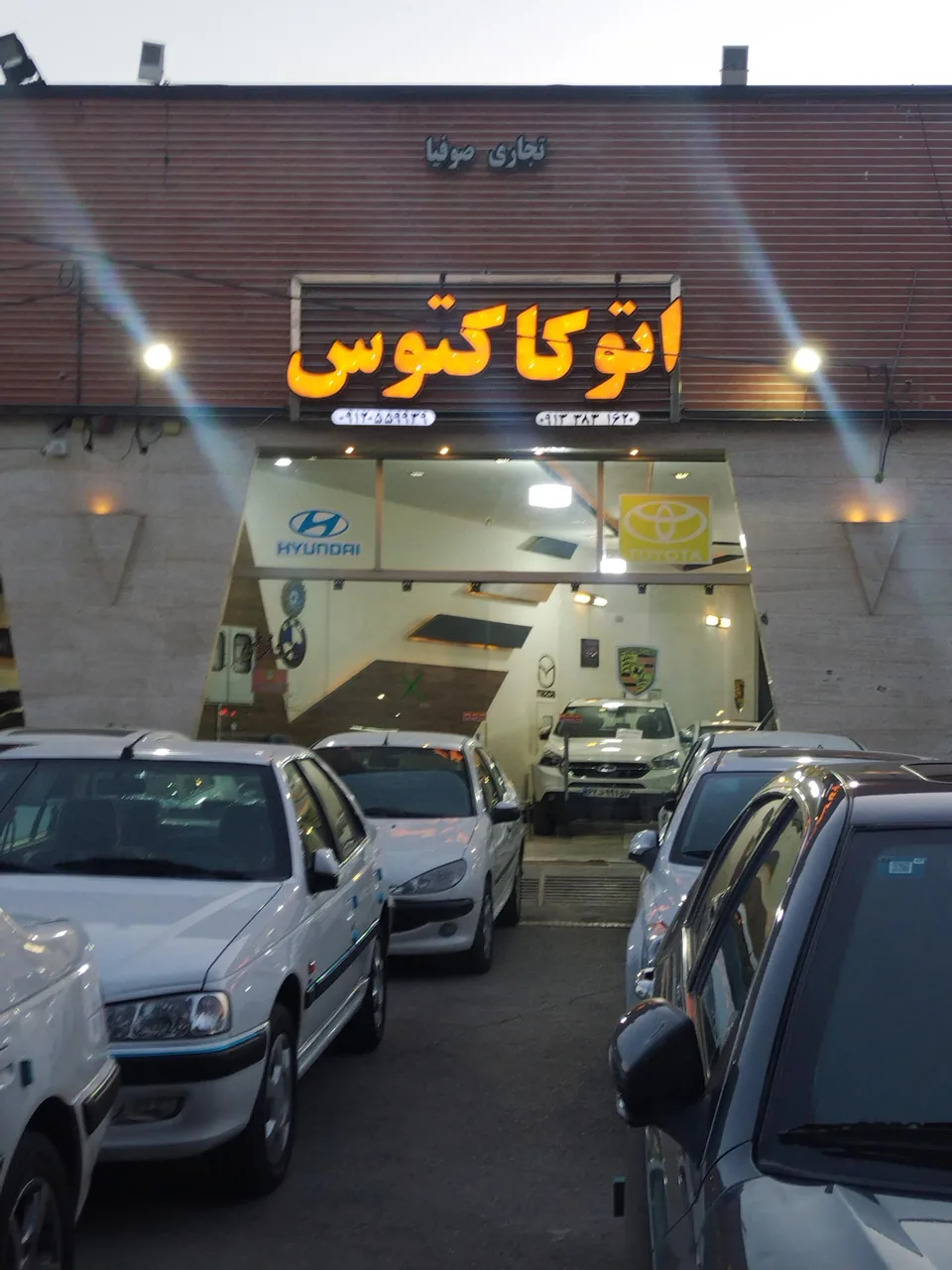 اتوگالری کاکتوس